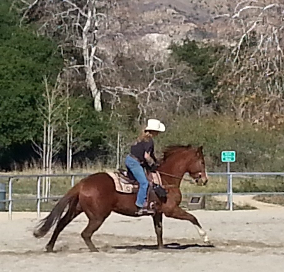 Aliso Canyon Park