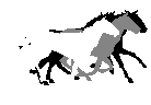&nbsp;OceanParkRanch.com