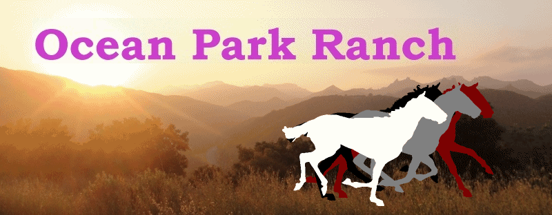 www.OceanParkRanch